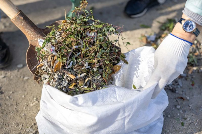 Dallas backyard cleared of yard waste and unwanted items